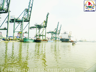 CẨU CONTAINER